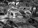 Autofriedhof - 063